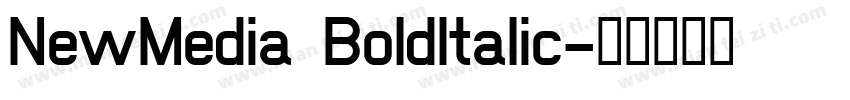 NewMedia BoldItalic字体转换
